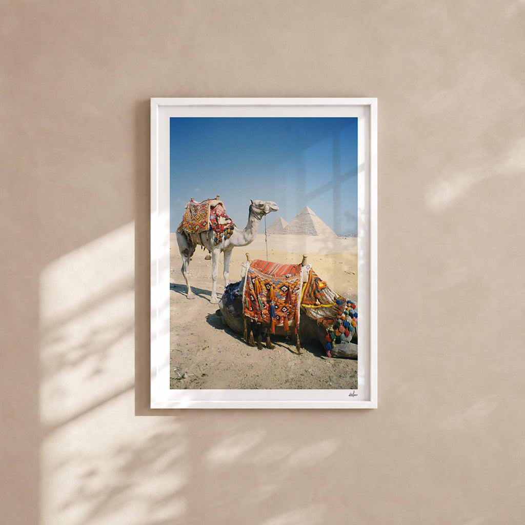 Ägypten Reise-Kunstdruck — Pyramiden von Gizeh & Kamele | Analog-Filmfotografie | Ägypten-Wandkunst