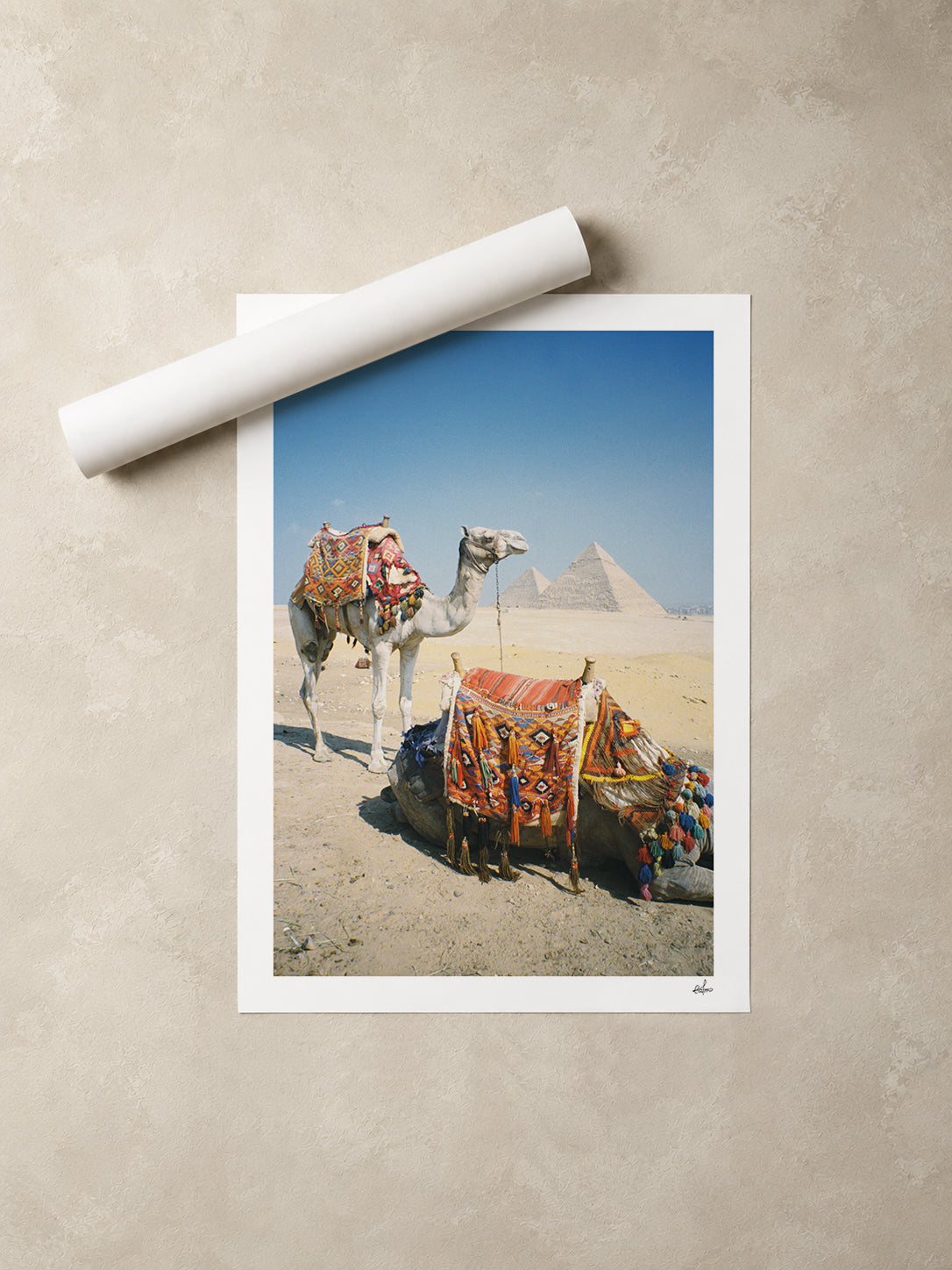 Egypt Travel Fine Art Print — Pyramids of Giza & Camels | Analog Film Photography | Egypt Wall Art
