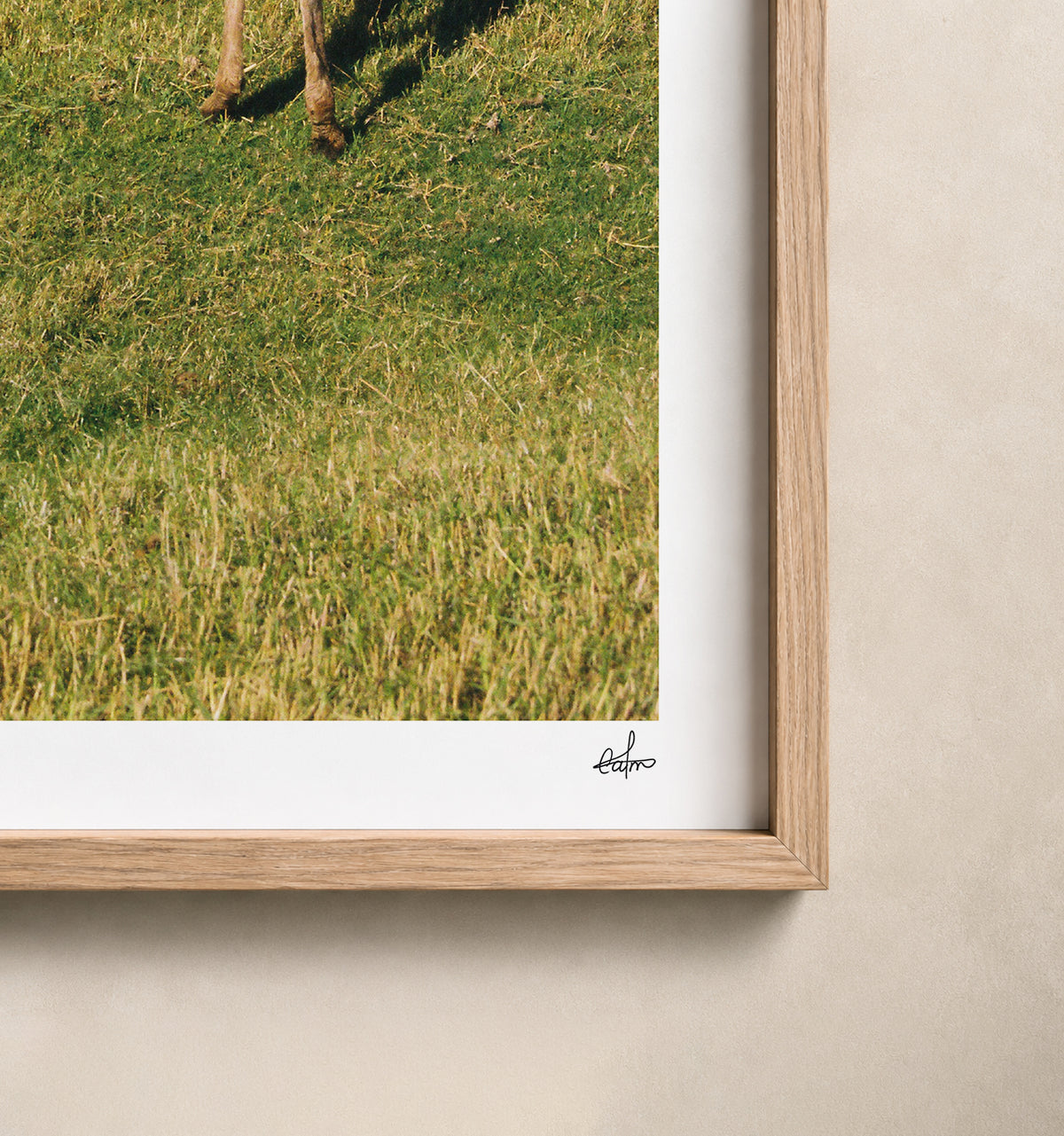 Egypt Travel Fine Art Print — Aswan Countryside | Analog Film Photography | Egypt Wall Art