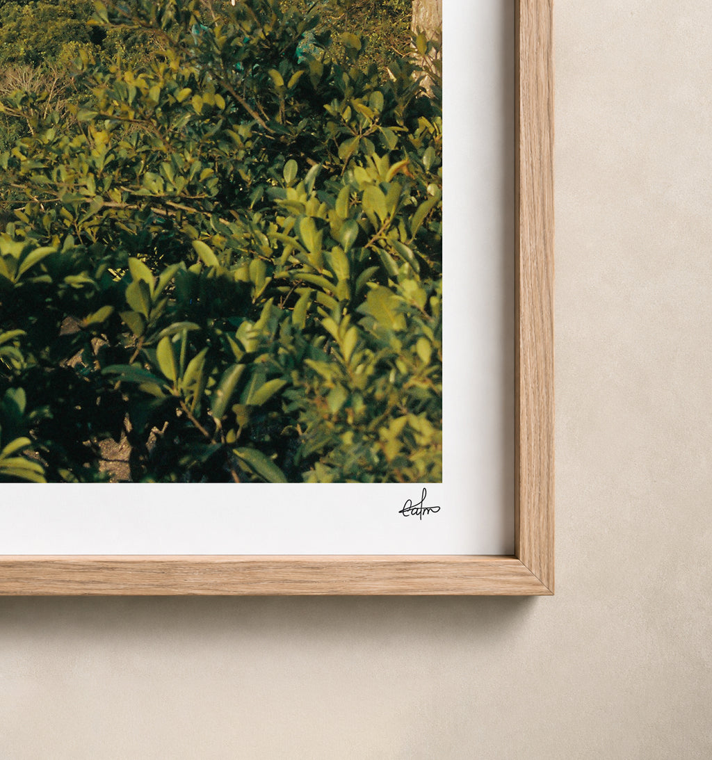 Brazil Fine Art Print - Sugar Loaf Cable Car View | Analog Film Photography | Rio de Janeiro Wall Art