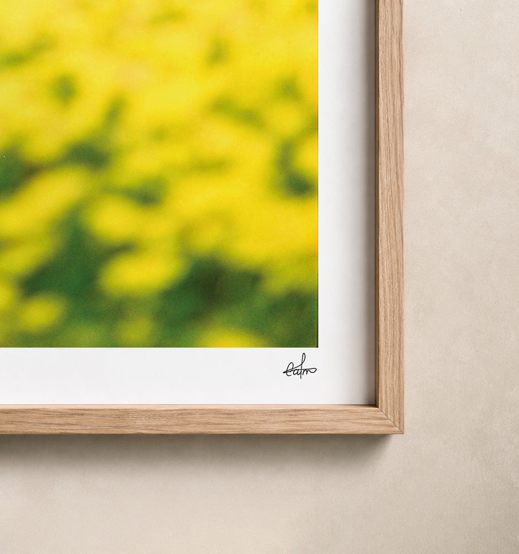 Portugal Fine Art Print - Peniche Wildflowers | Analog Film Photography | Silver Coast Wall Art