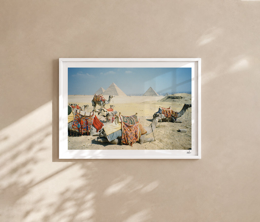 Egypt Travel Fine Art Print — Giza Camel Caravan | Analog Film Photography | Pyramids of Giza Wall Art