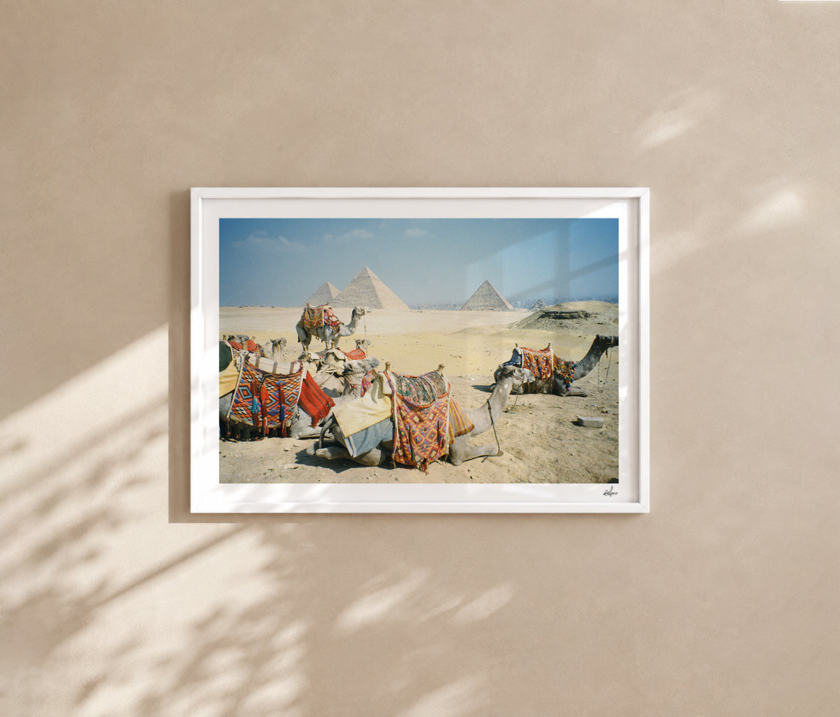 Egypt Travel Fine Art Print — Giza Camel Caravan | Analog Film Photography | Pyramids of Giza Wall Art