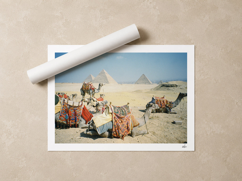 Egypt Travel Fine Art Print — Giza Camel Caravan | Analog Film Photography | Pyramids of Giza Wall Art