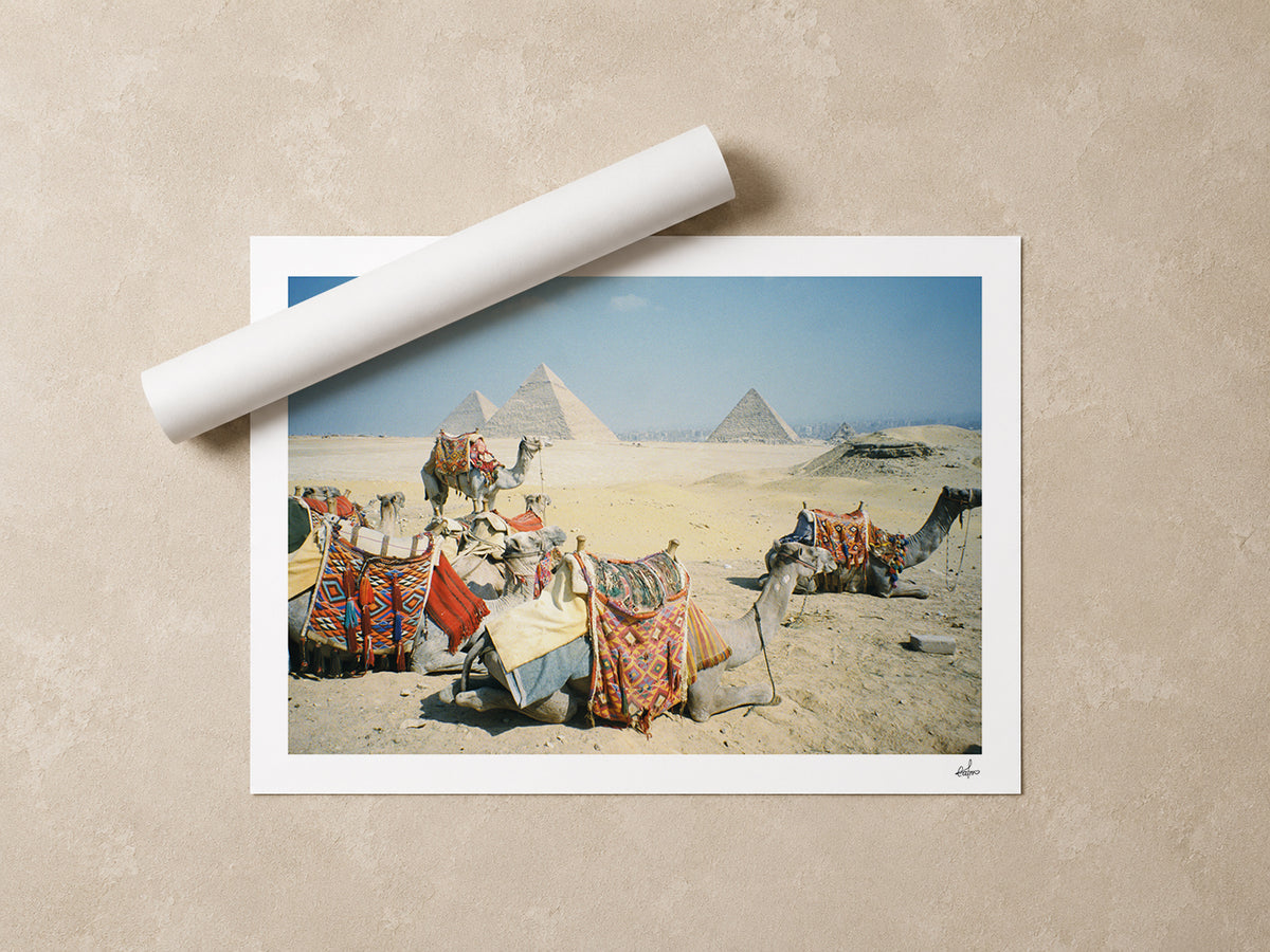 Egypt Travel Fine Art Print — Giza Camel Caravan | Analog Film Photography | Pyramids of Giza Wall Art