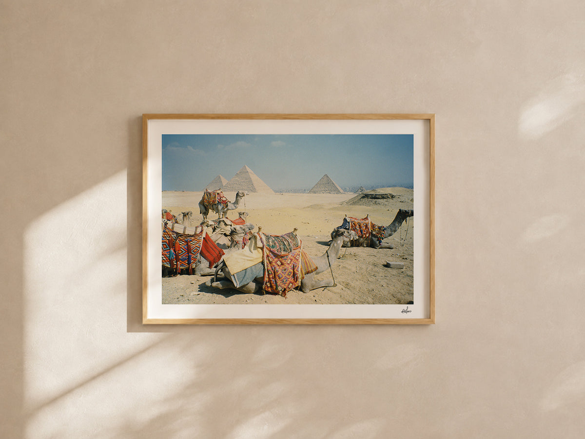 Egypt Travel Fine Art Print — Giza Camel Caravan | Analog Film Photography | Pyramids of Giza Wall Art
