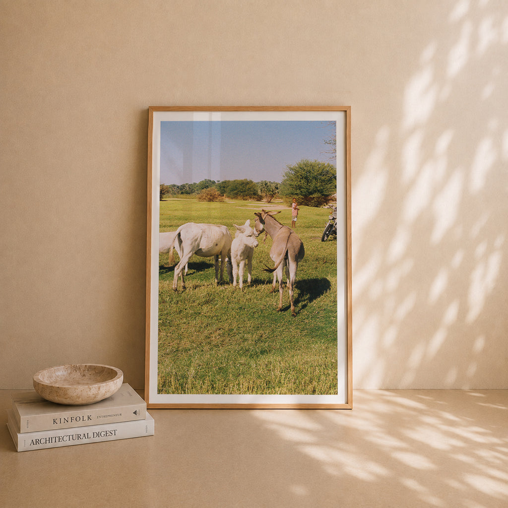 Egypt Travel Fine Art Print — Aswan Countryside | Analog Film Photography | Egypt Wall Art