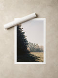 Winter sun through a fir tree over a frosted meadow, Auvergne, France — unframed fine art print lying flat beside a rolled print