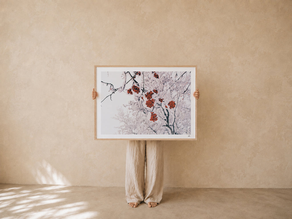 Tirage d'Art France - Rowan Berries in Snow | Photographie Argentique | Décoration Murale Auvergne
