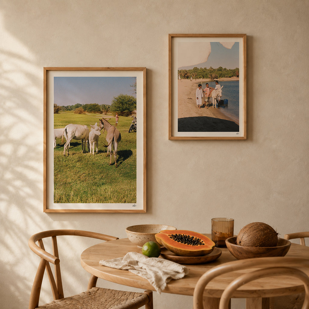 Egypt Travel Fine Art Print — Nile River Boys & Donkey | Analog Film Photography | Egypt Wall Art