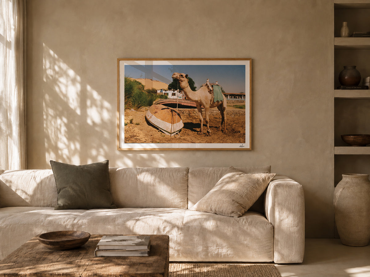 Egypt Travel Fine Art Print — Aswan River Camel | Analog Film Photography | Nile River Wall Art