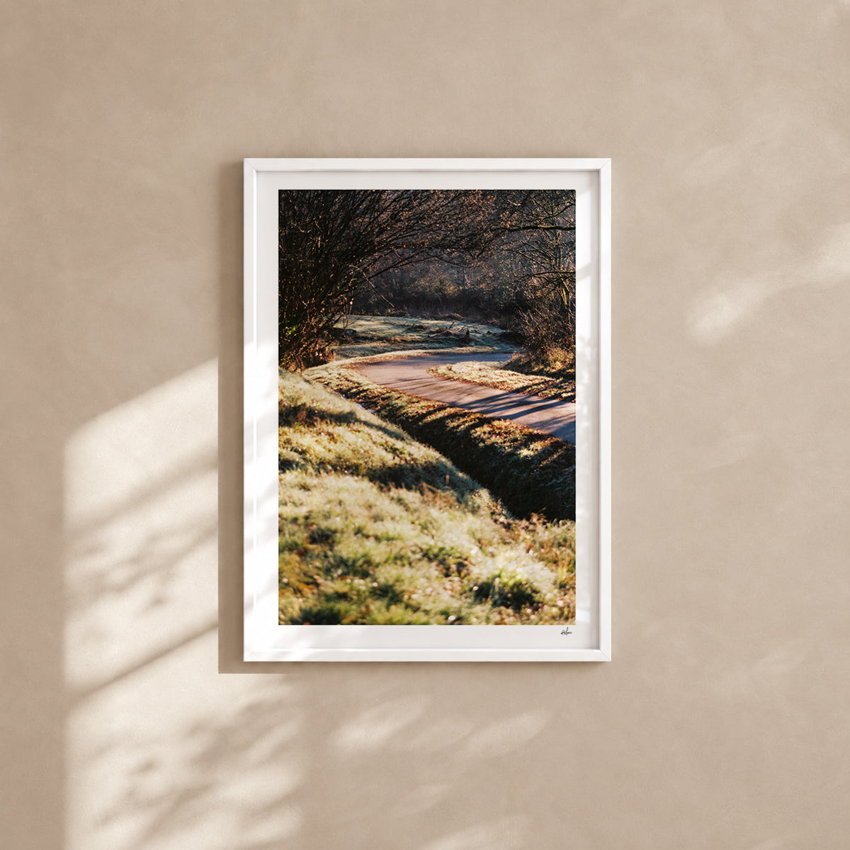 Frosted country lane in low winter sun, Auvergne, France — analog film photography print in a white wood frame