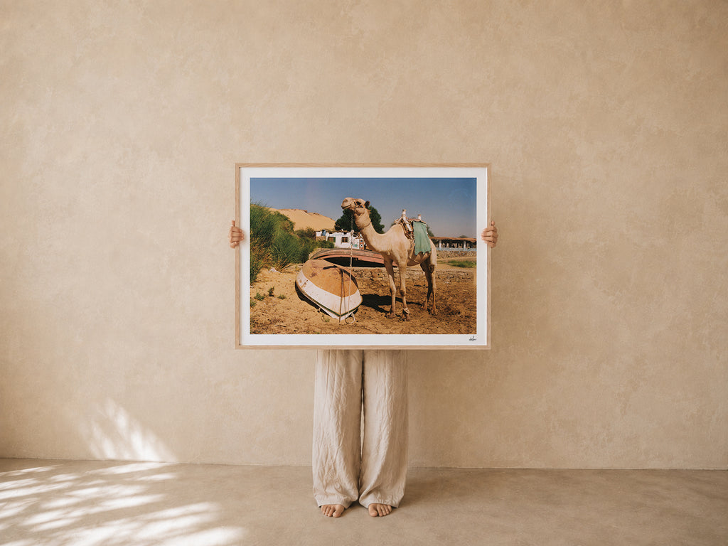 Egypt Travel Fine Art Print — Aswan River Camel | Analog Film Photography | Nile River Wall Art