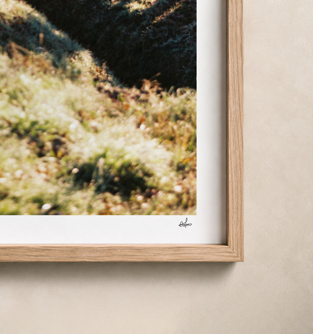 Frosted country lane in low winter sun, Auvergne, France — close-up of the print's white border and oak frame