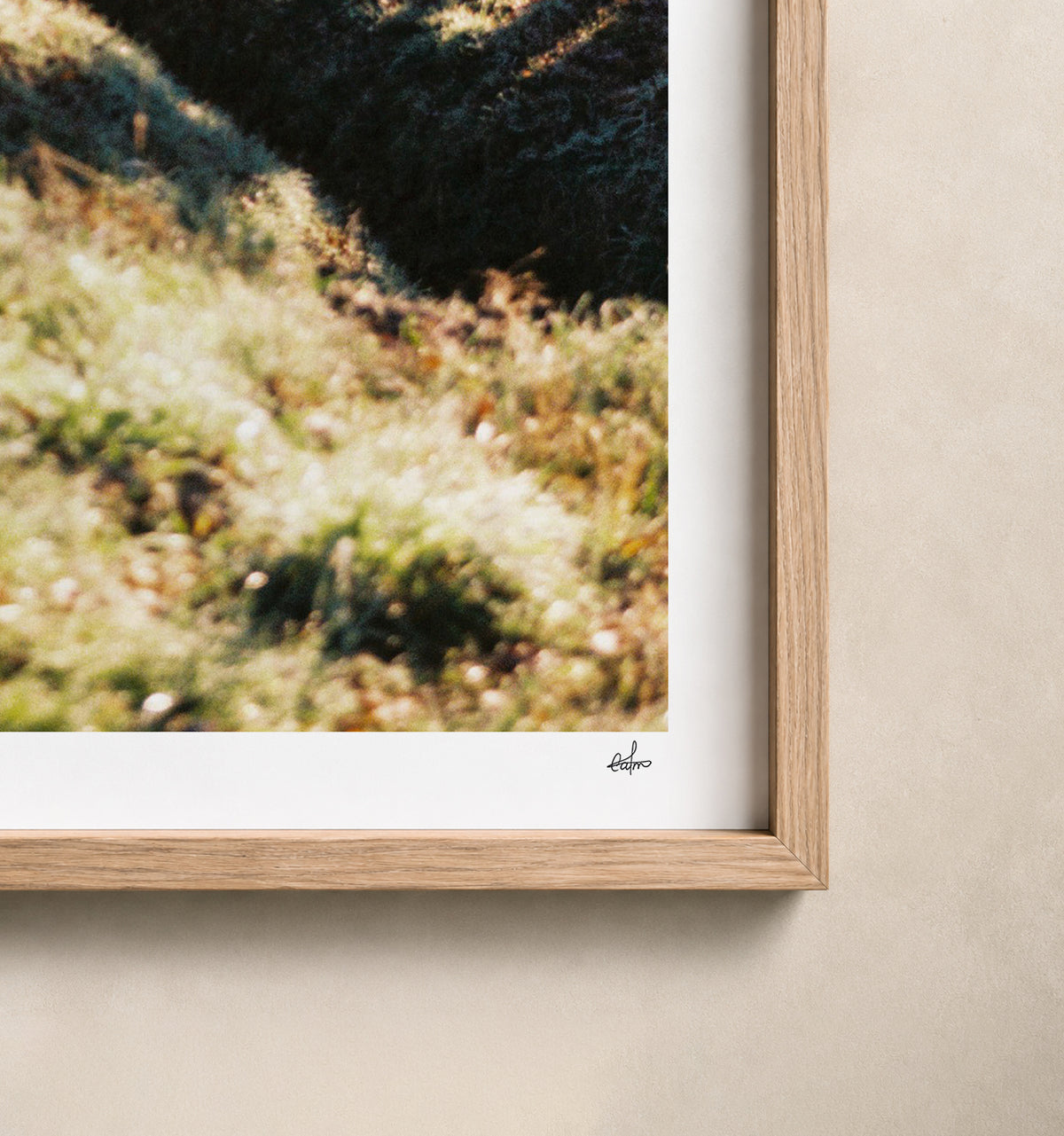 Frosted country lane in low winter sun, Auvergne, France — close-up of the print's white border and oak frame