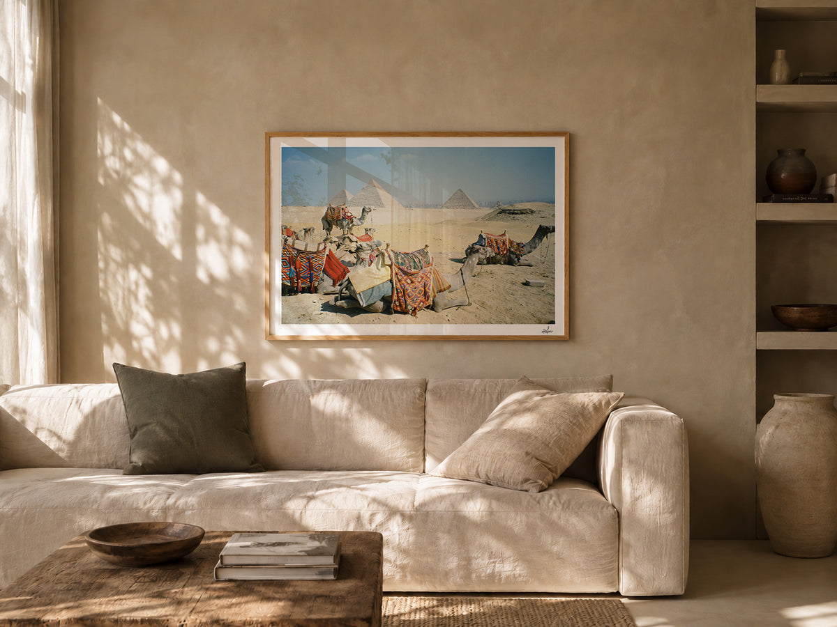 Egypt Travel Fine Art Print — Giza Camel Caravan | Analog Film Photography | Pyramids of Giza Wall Art