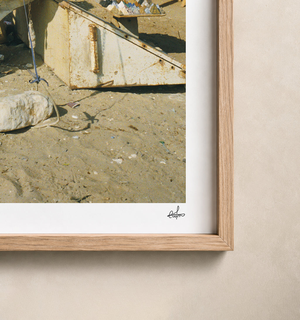 Egypt Travel Fine Art Print — Giza White Camel | Analog Film Photography | Camel Market Wall Art