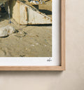 Egypt Travel Fine Art Print — Giza White Camel | Analog Film Photography | Camel Market Wall Art