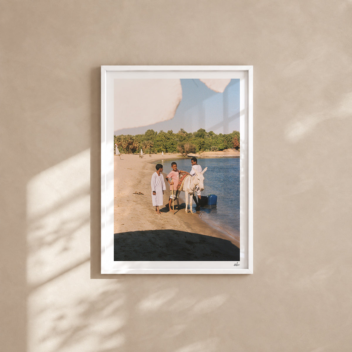 Egypt Travel Fine Art Print — Nile River Boys & Donkey | Analog Film Photography | Egypt Wall Art