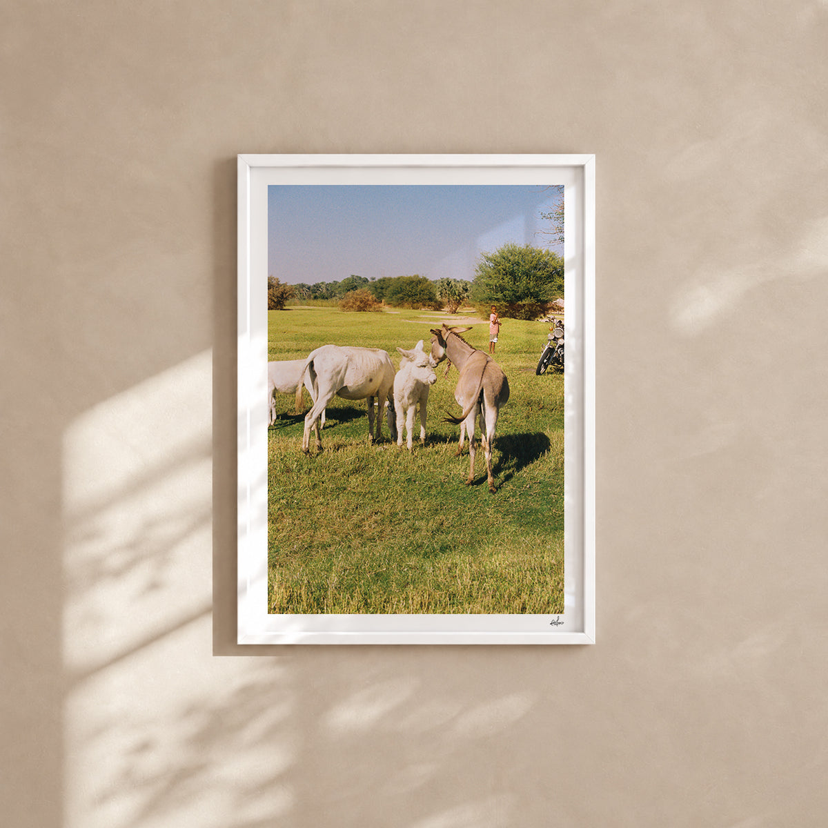 Egypt Travel Fine Art Print — Aswan Countryside | Analog Film Photography | Egypt Wall Art