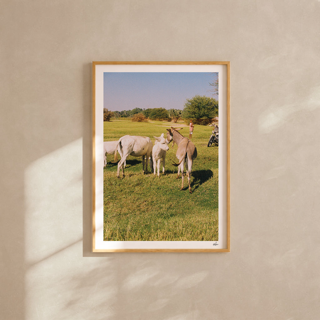 Egypt Travel Fine Art Print — Aswan Countryside | Analog Film Photography | Egypt Wall Art