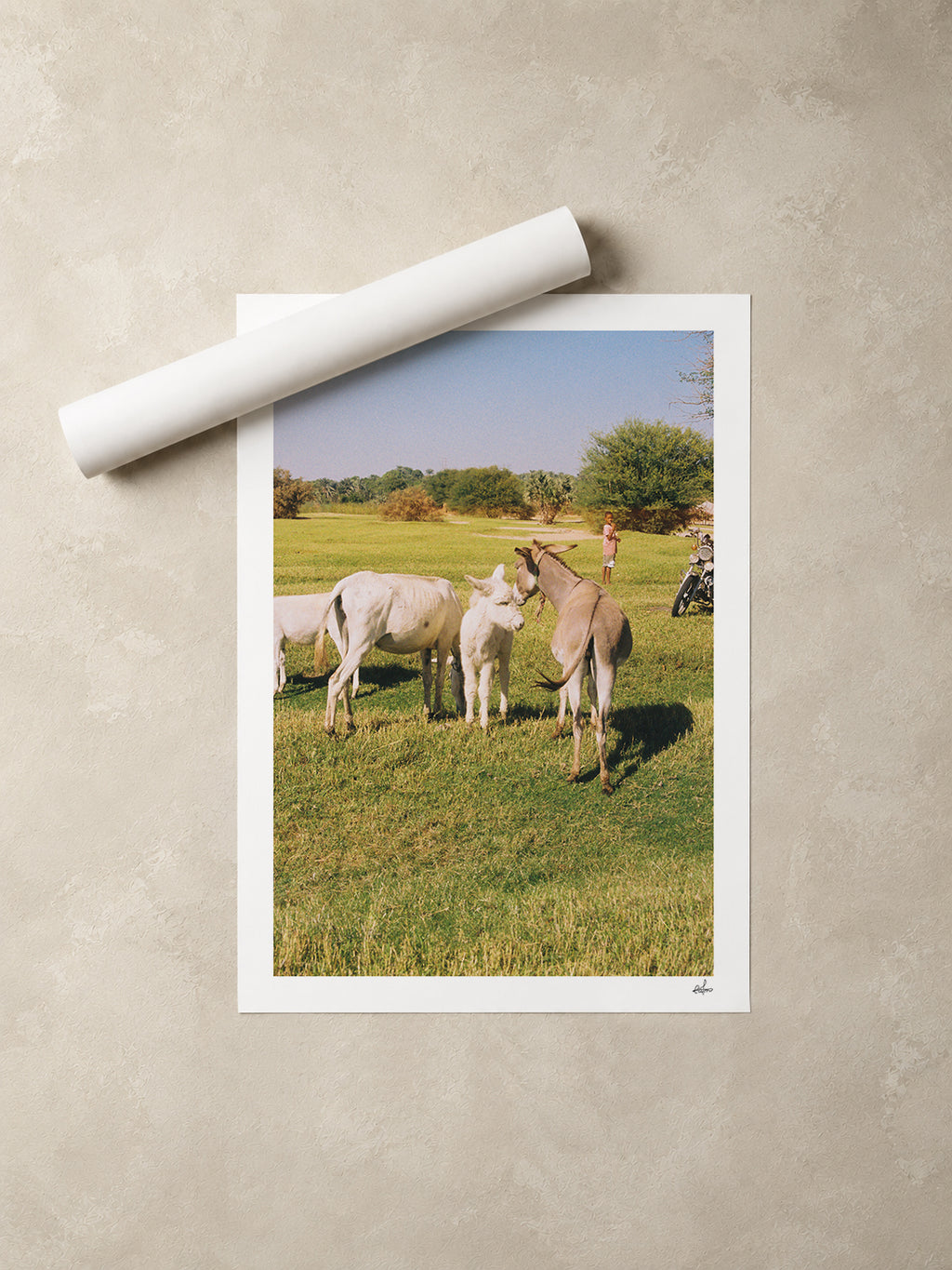 Egypt Travel Fine Art Print — Aswan Countryside | Analog Film Photography | Egypt Wall Art