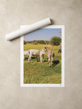 Egypt Travel Fine Art Print — Aswan Countryside | Analog Film Photography | Egypt Wall Art