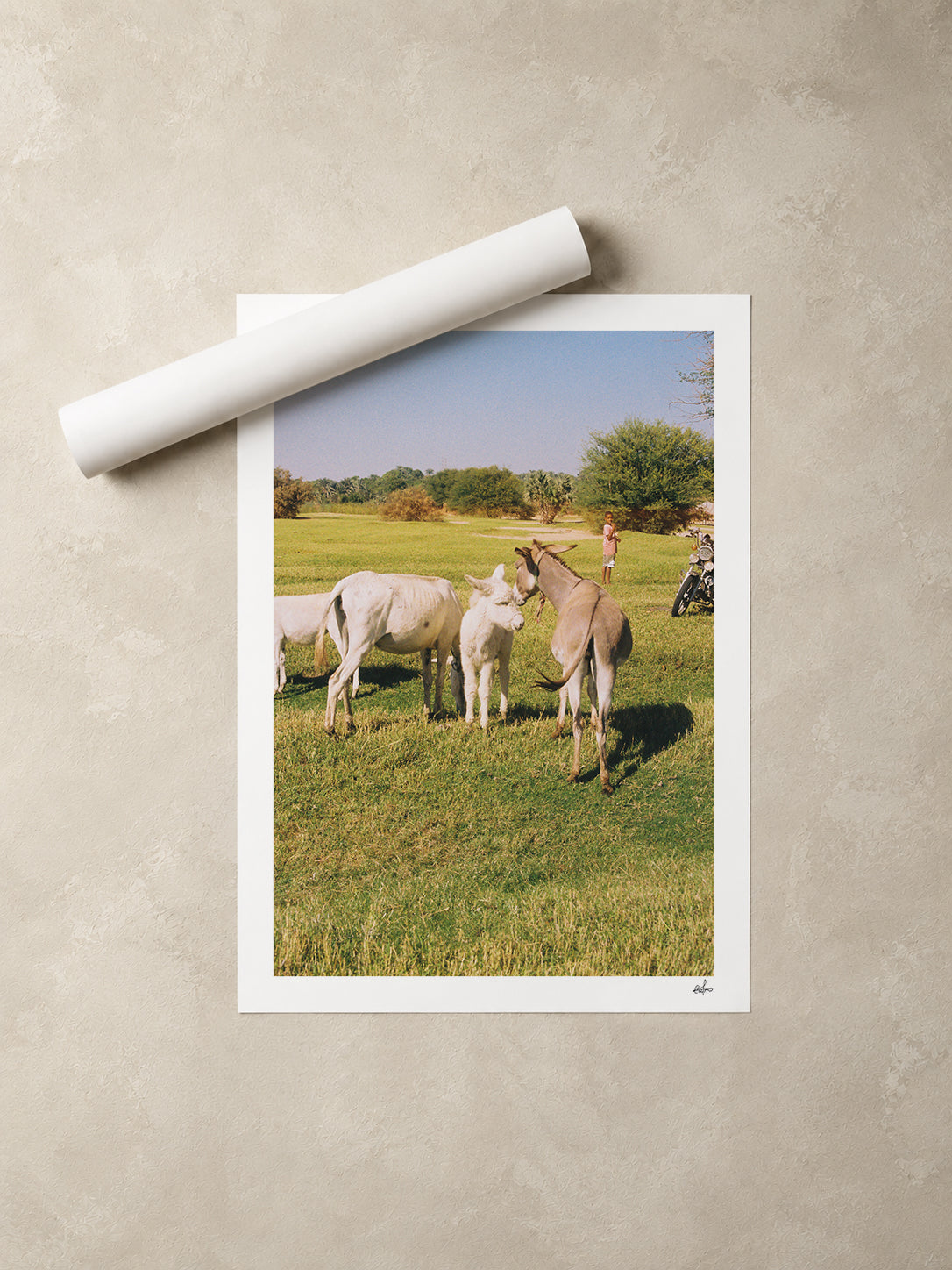 Egypt Travel Fine Art Print — Aswan Countryside | Analog Film Photography | Egypt Wall Art