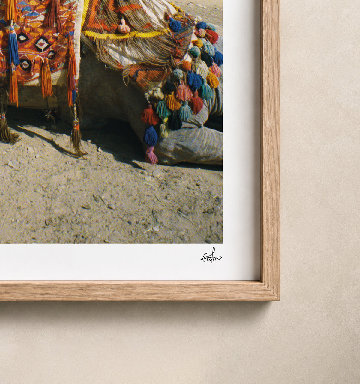 Egypt Travel Fine Art Print — Pyramids of Giza & Camels | Analog Film Photography | Egypt Wall Art