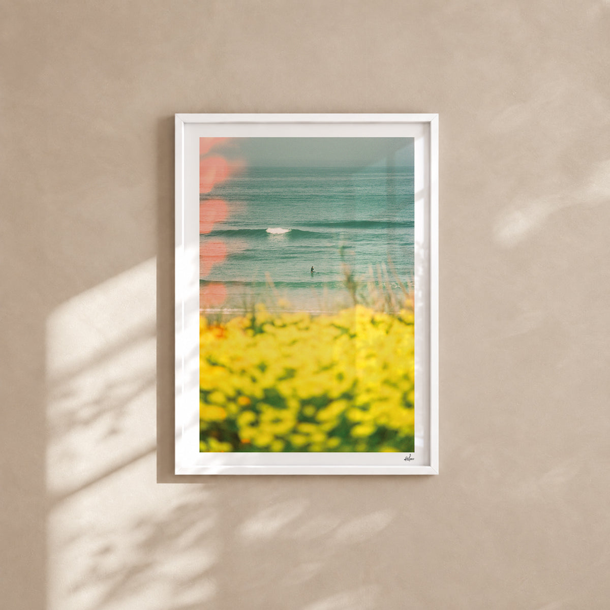 Portugal Fine Art Print - Peniche Wildflowers | Analog Film Photography | Silver Coast Wall Art