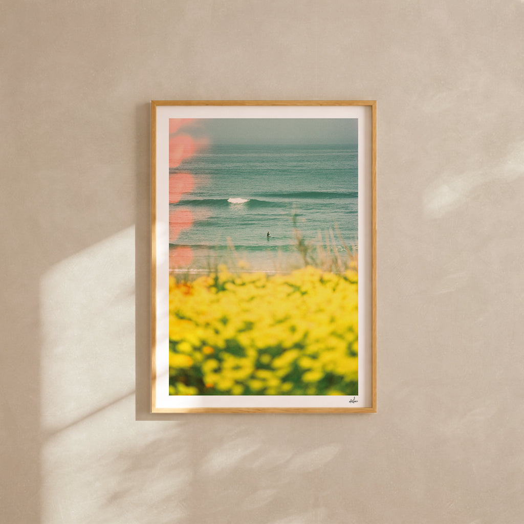 Portugal Fine Art Print - Peniche Wildflowers | Analog Film Photography | Silver Coast Wall Art