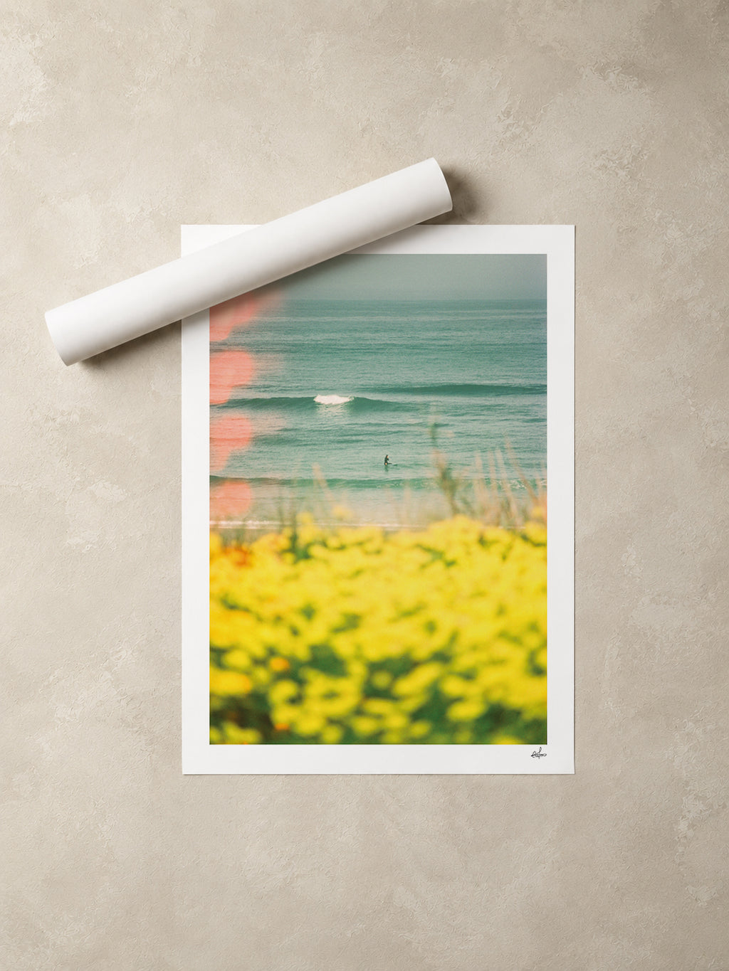 Portugal Fine Art Print - Peniche Wildflowers | Analog Film Photography | Silver Coast Wall Art