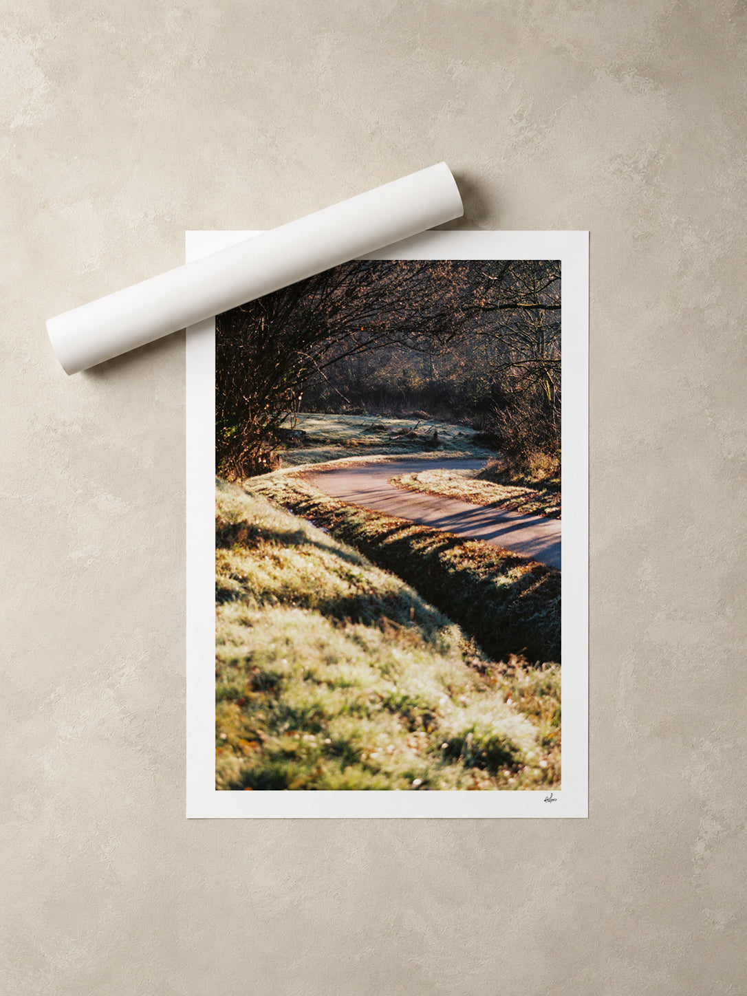 Frosted country lane in low winter sun, Auvergne, France — unframed fine art print lying flat beside a rolled print