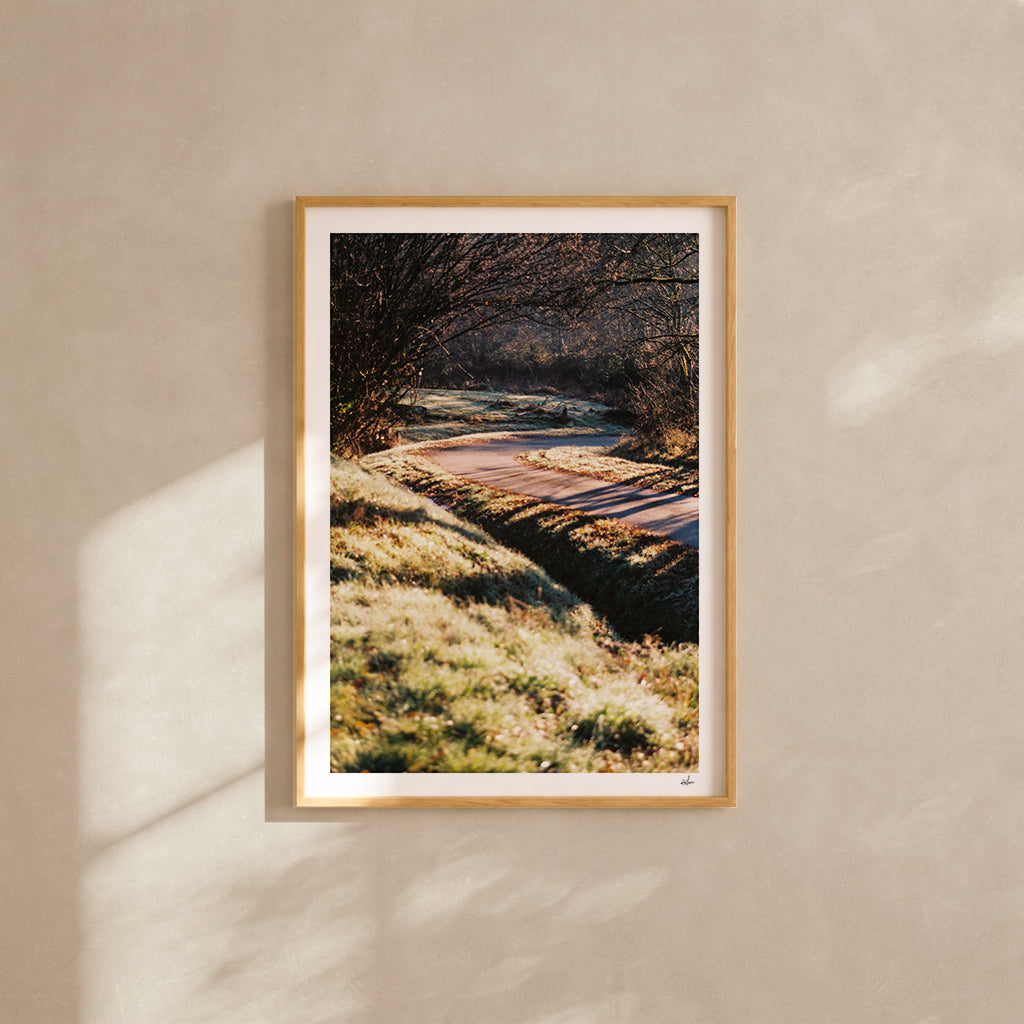 Frosted country lane in low winter sun, Auvergne, France — analog film photography print framed in natural oak