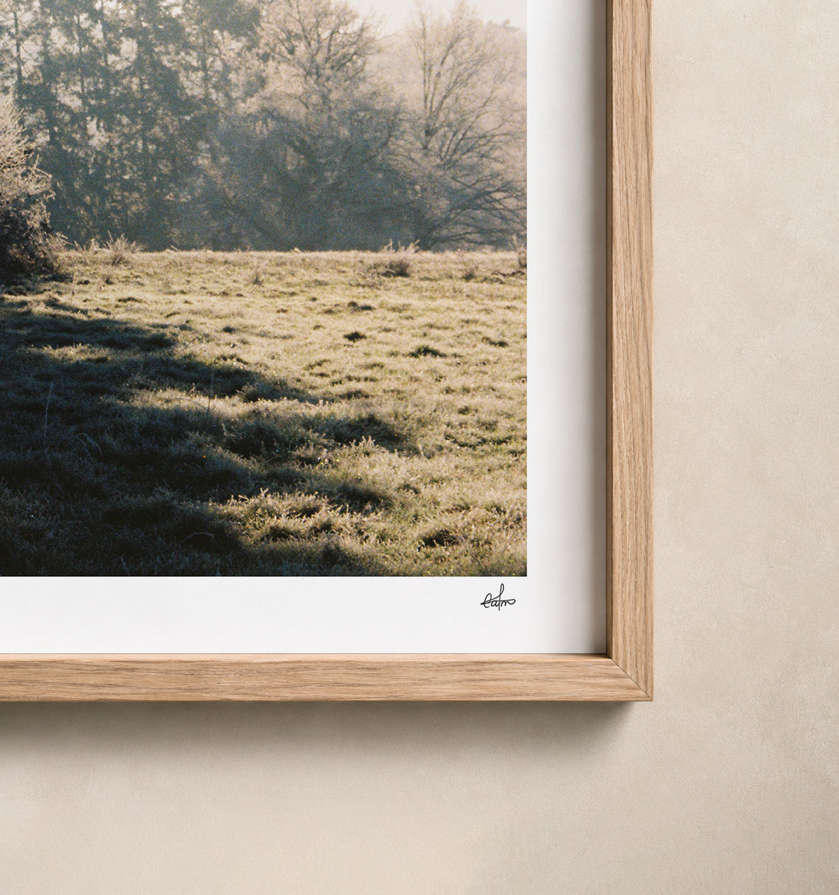 Winter sun through a fir tree over a frosted meadow, Auvergne, France — close-up of the print's white border and oak frame