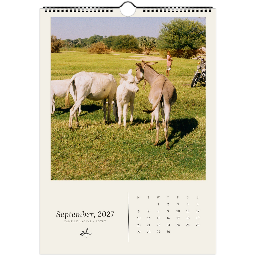 2027 Egypt wall calendar, A4 — page preview, analog film photography of the Nile and the desert